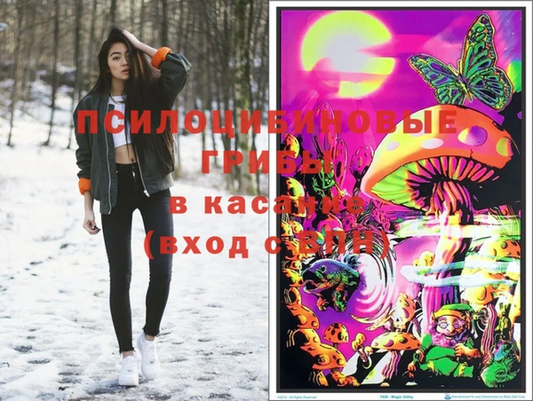 apvp Богданович