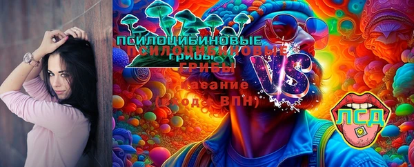 гидропоника Беломорск