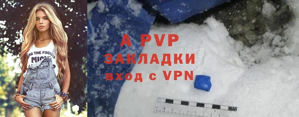 apvp Богородицк