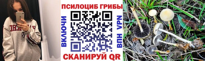 Псилоцибиновые грибы MAGIC MUSHROOMS  blacksprut ссылка  Михайлов 